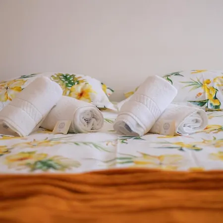 公寓 Foz Village By Rent4all 布阿尔库什