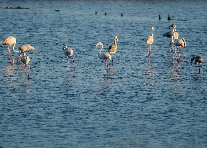 Foz Village By Rent4all Buarcos